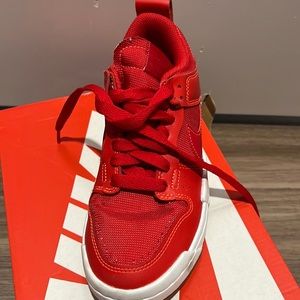 Nike Low Dunk Disrupt in Red